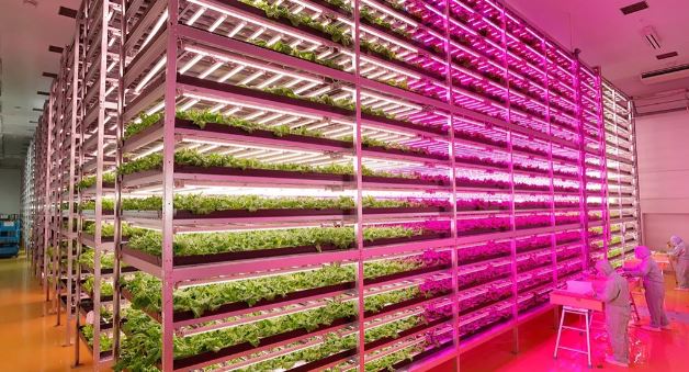 농산물 유통관리기술